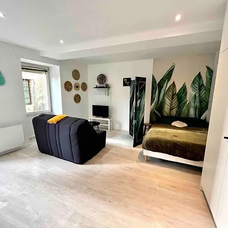 Le P'tit Nid Des Halles Apartment Le Grand-Lemps